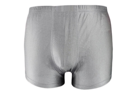 Picture of Anti Radiation Protection Man Boxer Shorts 100%silver-Nylon Fabric Shielding, Small,Silver, 8900614S